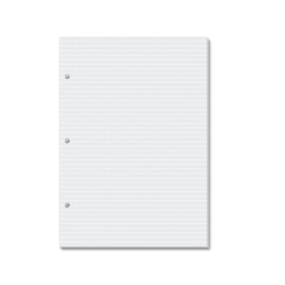 REFIL MIOLO QUADRICULADO BRANCO CADERNO ARGOLADO FINA IDEIA