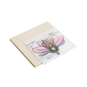 NOTA AUTO TRANSPARENTE  HOLIC POP CRISTAL 75X75MM 50FLS TRIS