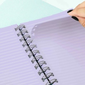 CADERNO SMART UNIV DISNEY 100 10DIV 80FLS DAC